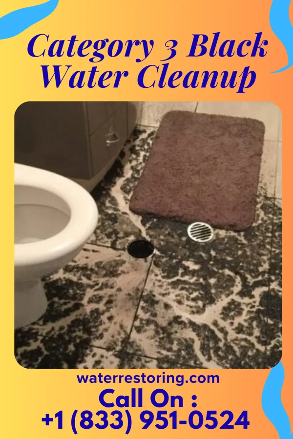 Category 3 Black Water Cleanup in Woodruff, SC